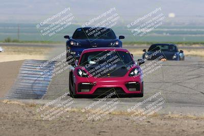 media/May-03-2024-PCA Central Coast (Fri) [[eaa7da0ee1]]/Yellow Group/Session 1 (Grapevine)/